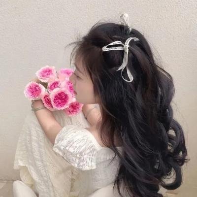 盗影谜情