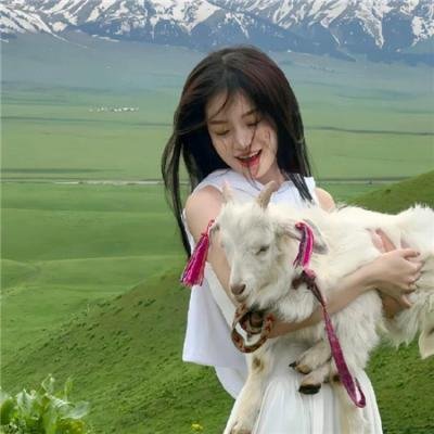 剧情犯罪